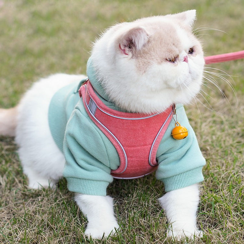 Vest Style Pet Chest Harness With Leash